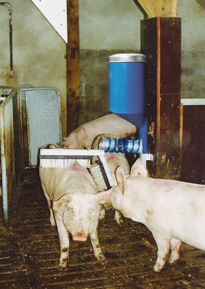 Schweinebürste mit Behälter