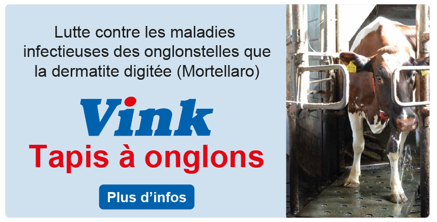 vink_banner-02